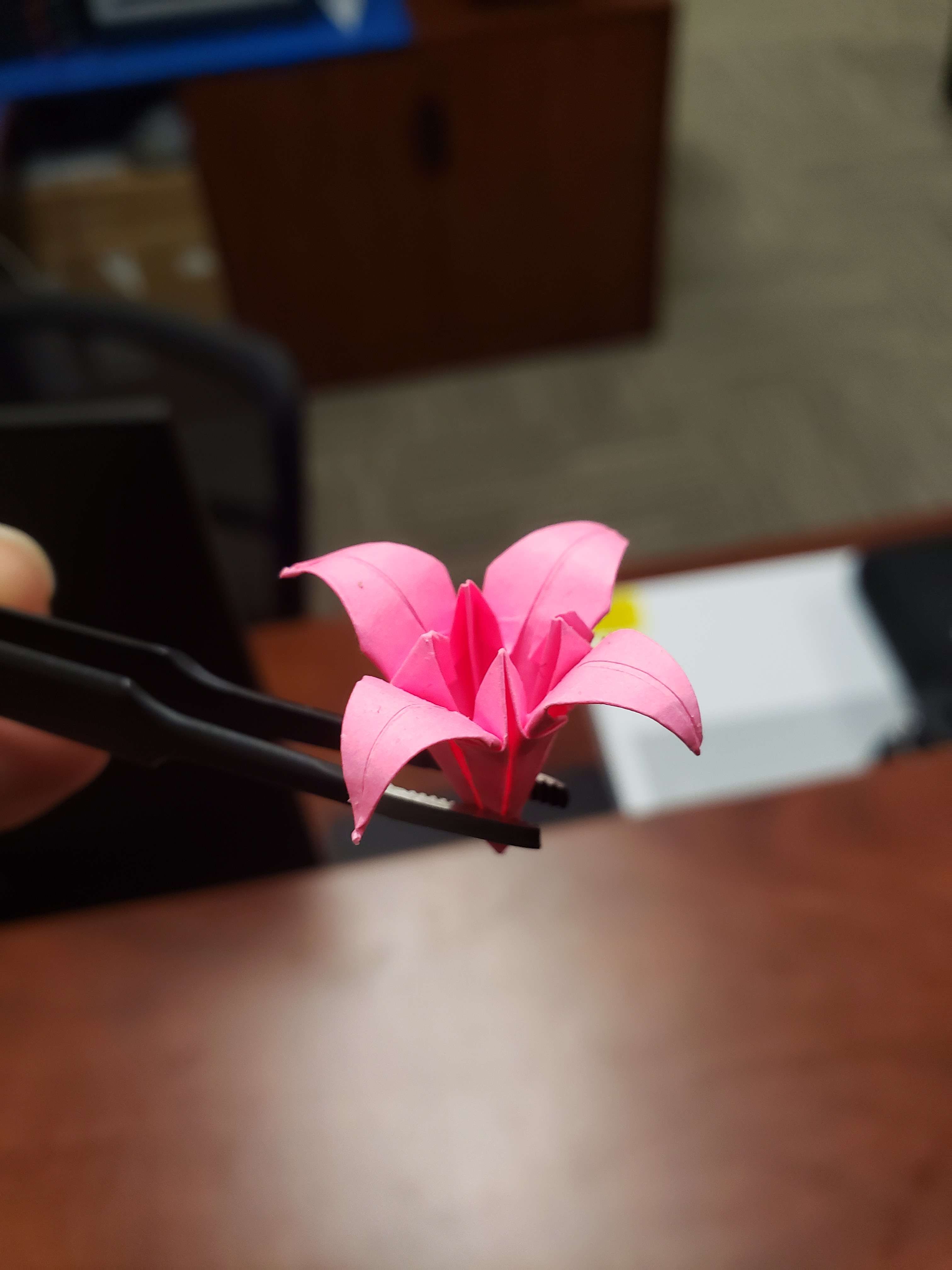 Tiny Lily